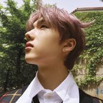 [NCT즌] 박지성 당장 코 <b>보험</b>들어.