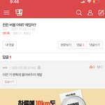 혼자 급발진 <b>와이</b>라노