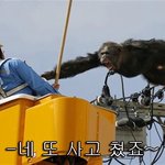 우리 지역 뉴스 방금 방송사고? 났는데
