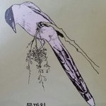 [NCT즌] 너네 홈오 얘기 안 할거면 나 포타 보러 <b>간다</b>