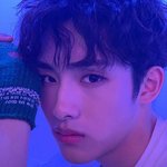 [NCT즌] 호모플 ㄱ