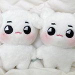 [이태용] 대왕툥야 나온다는 소식 들었어?