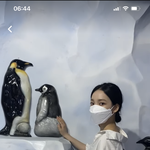 근데 카리나 이런거 <b>대체</b> ㅇㄷ에 올라오는거임