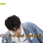 [NCT즌] 쪼<b>푸</b>강아지 아기치타 무서운 줄 모른다