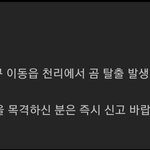 [드루와] 곰<b>탈출</b> 실화냐ㅋㅋㅋㅋㅋㅋ