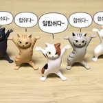 [EXO] 이제 <b>몇</b> <b>주</b> 안 남았는데