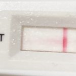 [19] 임테기