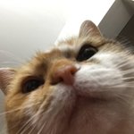 [NCT즌] 잰냥아돌아와
