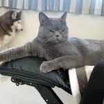 [댓글부탁해] 아 니네들 <b>문제점</b> 찾음
