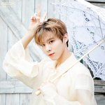 <b>도시</b>어부 출연 예정 남돌 라인업