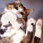유리 바닥으로 훔쳐보면..ㅎㅎㅎ