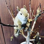 [펜타곤] 얘드라 나 이 인형 결국