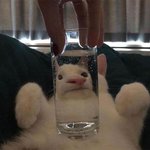 [댓글부탁해] 다리에 모기물린<b>자국</b> ㅈㄴ 많으면 어떰?