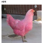 [드루와] 02년생 특