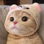 [모두드루와] 성격 의외인 돌 있냐