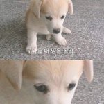 혐주의!!!))) <b>모기</b>물린데왜이럼?ㅠㅠ