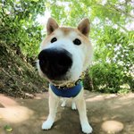 [더보이즈] <b>영재</b> 닮은 갱얼쥐