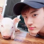 [더보이즈] 학년이네 돼지랑 사진 찍은 <b>영재</b>❤️