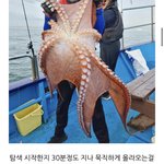 이거 뭐게