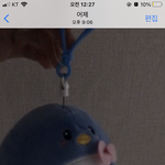 인형 개귀<b>엽지</b>