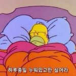 [드루와] 나 판에서 만난 애랑 <b>절친</b> 됐었음