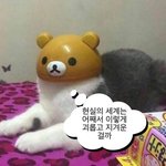 [댓글부탁해] 오늘도 <b>봉사</b>간다 ㅅㅂ...