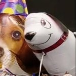 [에이티즈] 얘 이름 머였지