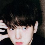 엑소로 보는 강아지상과 고양이상.jpgif