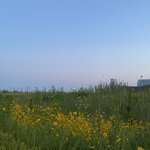 내가 찍은 사진 봐<b>주라</b>