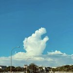 이거 <b>배사</b>해서 은근히 메갈 티내기