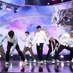 [NCT즌] 고양이 진심 <b>시강</b>이네