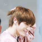[이태용] 8월부터 조금씩 <b>매주</b> 툥이를