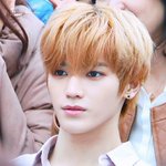 [이태용] 오늘도 갈발염불