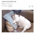 [댓글부탁해] 디씨에서 싸움나서 <b>피난</b>왔누