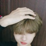 [NCT즌] 박지성 이 사진 있자너