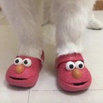 이따 <b>물회</b> 시켜 먹어야지