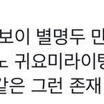 [NCT즌] 대공감 개공감