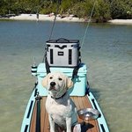 [에이티즈] 아 윤호 댕기여워 <b>늠름</b>강아지