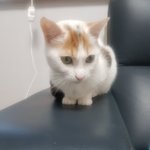 울애기어<b>때용</b>