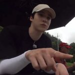 [에이티즈] <b>나비</b>가 좋은 댕댕이