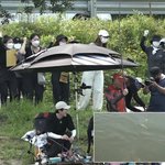 [에이티즈] <b>이덕화</b> 선생님과 하이파이브하는 강아지