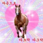 [댓글부탁해] 쓰고 달달한 짝사랑 얘기 좀 들어주고 해줘!!