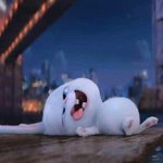 [댓글부탁해] 나 대학 갈수있을지 봐줘