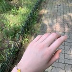 귀야운 내 <b>팔찌</b> 자랑