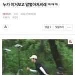 [에이티즈] 말벌아저씪ㅋㅋㄱㅋㄱㄱ