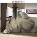 [이것좀봐줘] 남사친한테 <b>이용</b> 당한건가..