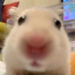 [NCT즌] <b>암</b>더뵤!
