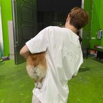 [댓글부탁해] <b>왓챠</b>에 장화홍련 있어??