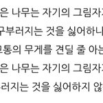 얘들아 좋아하는 시 <b>구절</b> 말하고 가라