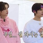 [스키즈] <b>앙큼</b>하다 <b>앙큼</b>해